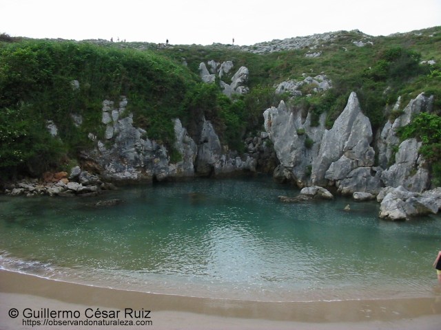 Playa de Gulpiyuri, Llanes (Asturias)