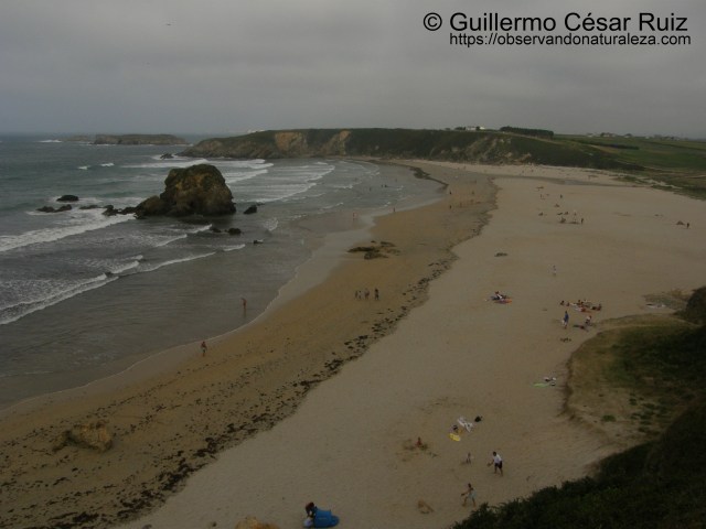 Playa de Penarronda, Castropol (Asturias)