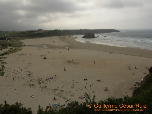 Playa de Penarronda (Tapia-Asturias)