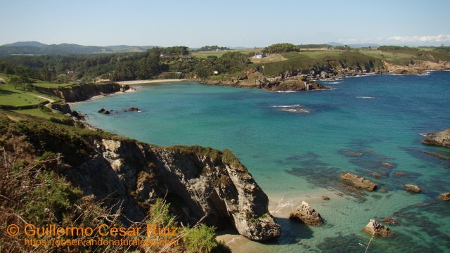 Playa de Porcía, El Franco