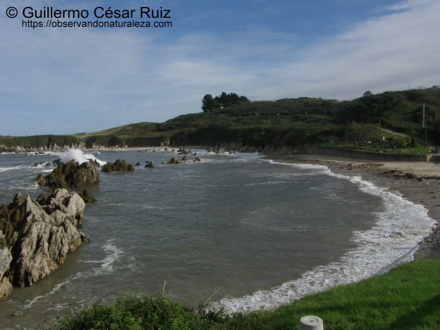 Playa de Toró (Llanes-Asturias)