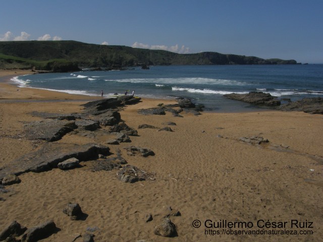 Playa de Verdicio o Tenrero, Verdicio (Gozón-Asturias)