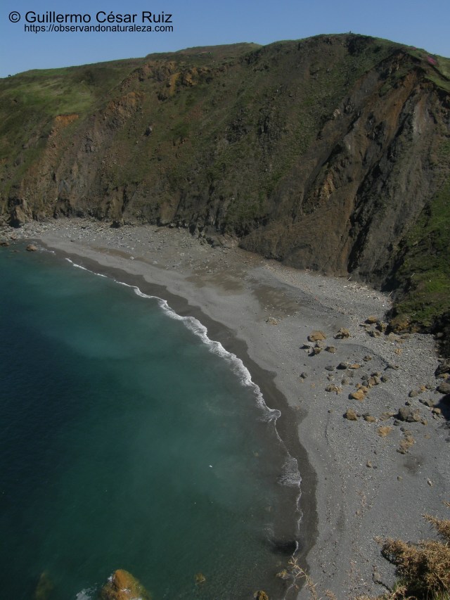 Playa El Cuerno o Les Melleres 2, Verdicio (Gozón-Asturias)