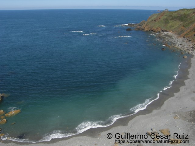 Playa El Cuerno o Les Melleres 3, Verdicio (Gozón-Asturias)