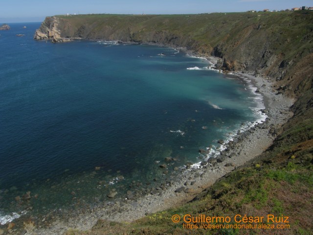 Playas de Carrera y Ferrero, Ferrero (Gozón-Asturias)