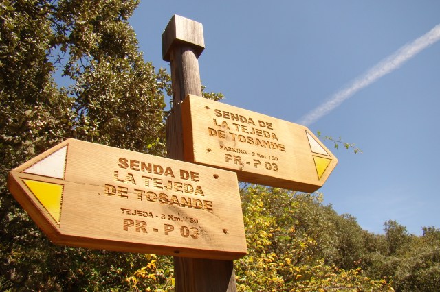 Señalización vertical en la ruta