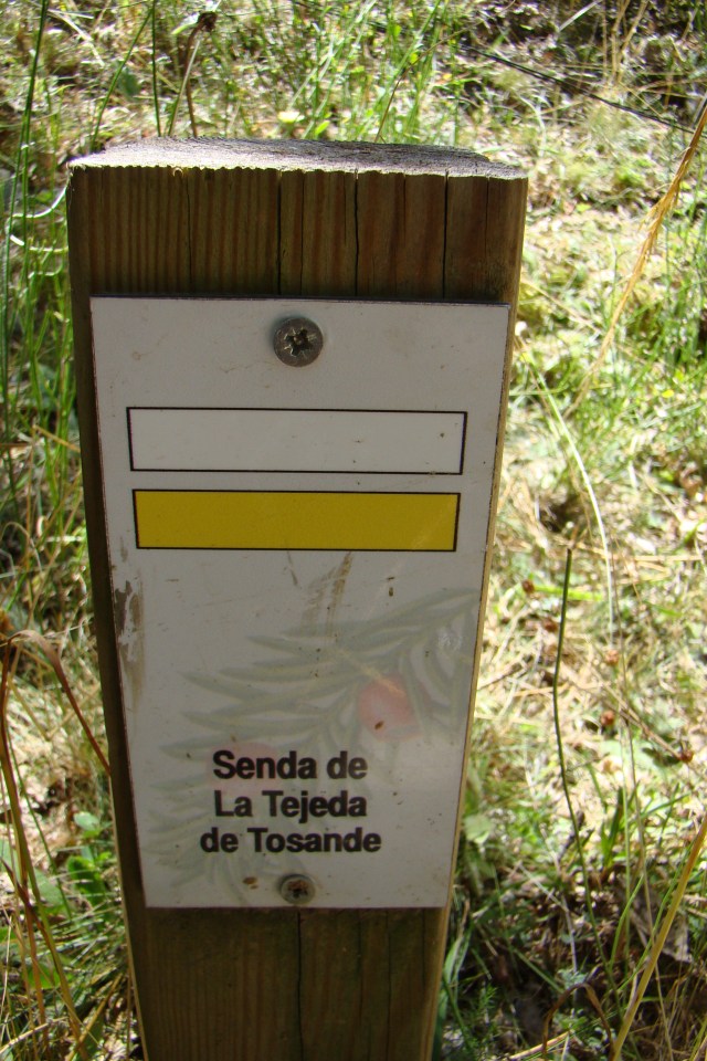 Señalizacion vertical en la ruta