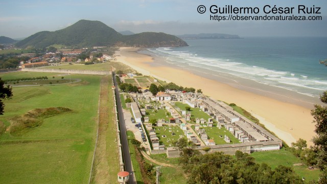 Berria, Playa de Berria, Punta del Brusco, Cueto Cabrero y Brusco