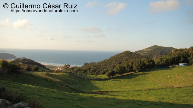 Camino del Polvorin El Helechal. Vistas de Peña Águila, Playa de Berria, Penal El Dueso y Fuerte de Napoleón