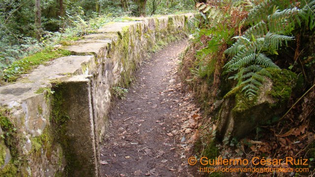 Canal de agua entre molinos de rodezno empleada ahora como senda entre La Firbia y Ulloa, Cascadas de Oneta 2