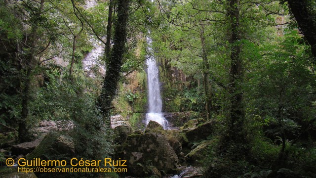 Cascadas de Oneta, La Firbia 
