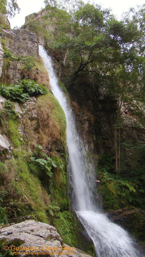 Cascadas de Oneta, La Firbia