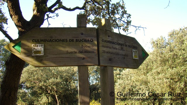 Collado. Señalización culminaciones al Buciero y Ganzo