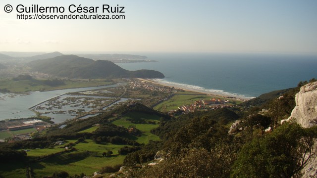 Cumbre del Buciero. Vistas a Berria, Argoños, Penal El Dueso, Playa de Berria, Montes de Mijedo, Noja, Cabos de Quejo y Ajo