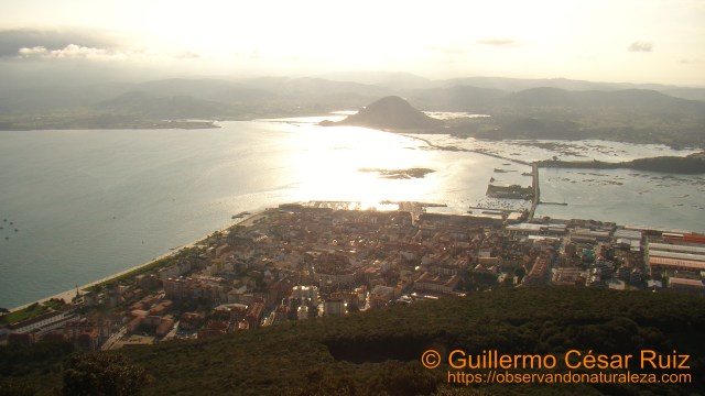 Cumbre del Buciero. Vistas a Santoña y Marismas de Santoña