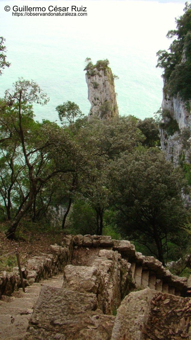 Descenso al Faro del Caballo, Monte Buciero, Santoña