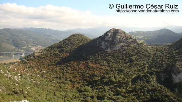 Descenso hacia la Hoya Cobañera para luego ascender al collado. A la izquierda desembocadura del Río Arguera y Ria de Oriñón