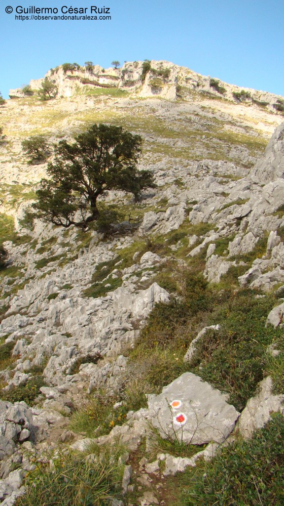 Dirección a tomar ascensión al Collado de Tueros, entre Llandesabú y Tueros
