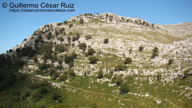 Hoya Corteguera y Llandesabú, sendas Monte Candina