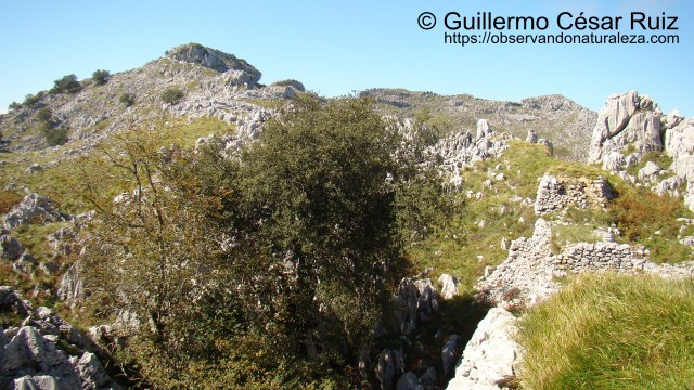 Hoya Llandesabú, Monte Candina y Solpico