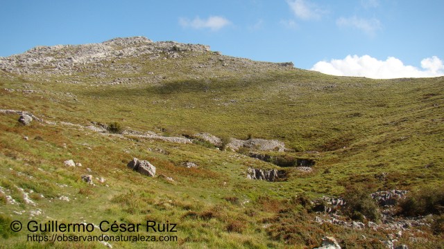Hoya Tueros, ascendiendo hacia Monte Candina