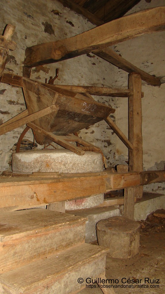 Interior Molin d'Ulloa, Cascadas de Oneta, Villayón