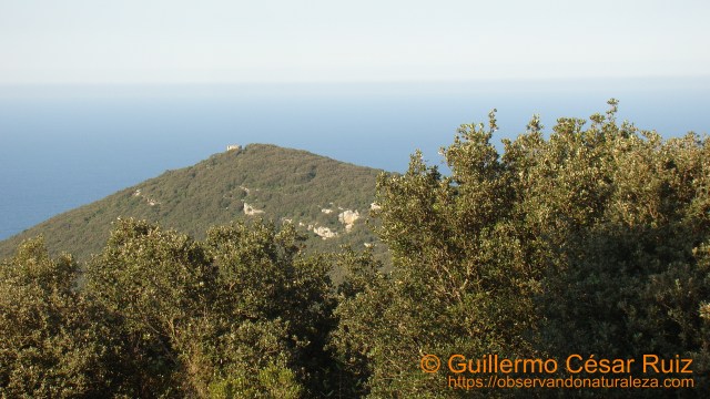 La Atalaya, Monte Buciero, Santoña