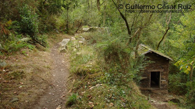 Molín de Ulloa, Cascadas de Oneta, Villayón