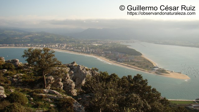 Monte Buciero, Santoña