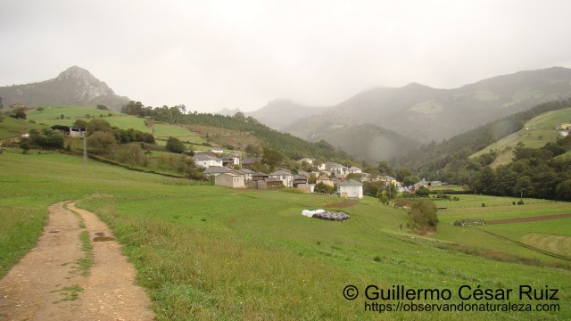 Oneta, Villayón, Asturias