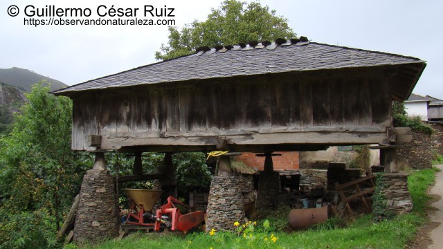 Panera típica en Oneta, Villayón, Asturias