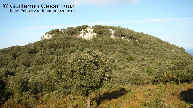 Peña Ganzo, Santoña