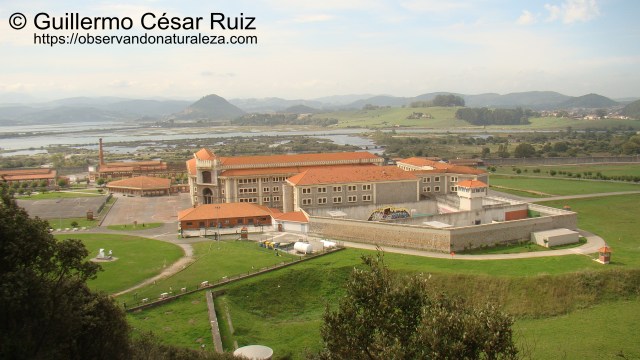 Penal El Dueso, Marismas de Santoña, Montehano, Argoños