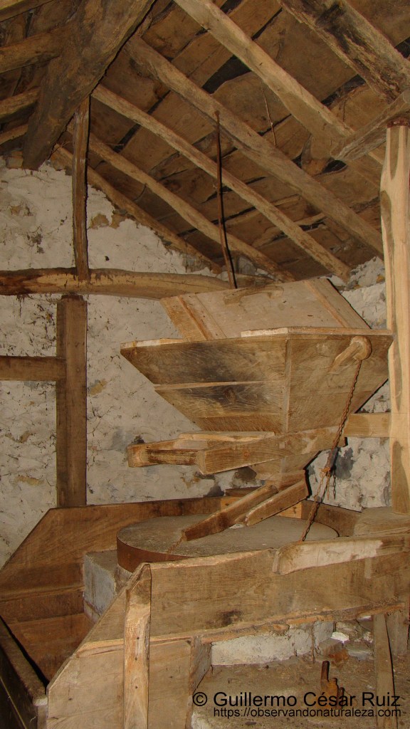 Piezas, tolva y piedra molendera del Molín d'Abaxo, Cascadas de Oneta, Villayón