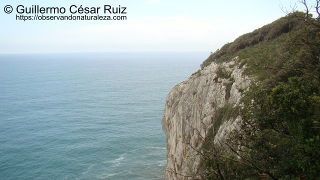 Punta del Águila, Monte Buciero, Santoña