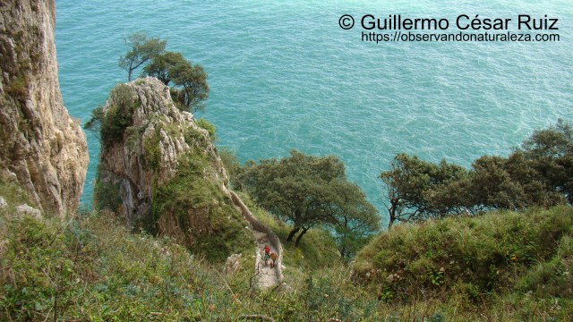 Punta del Caballo, Monte Buciero, Santoña