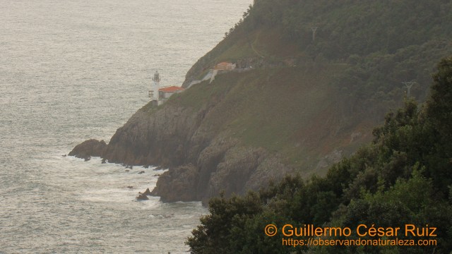 Punta y Faro del Pescador, Monte Buciero, Santoña