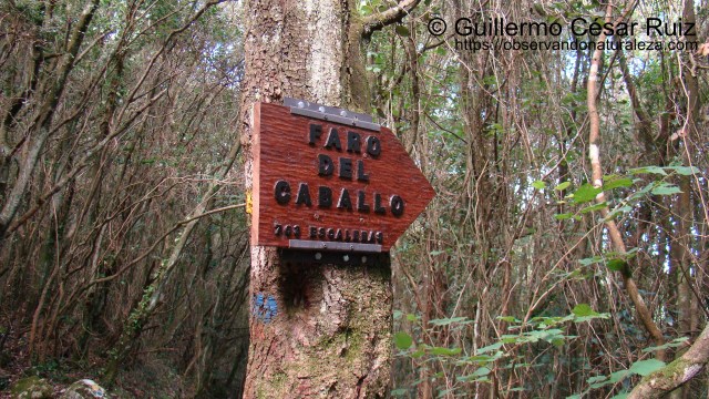 Señalización en Cuatro Caminos desvío hacia el Faro del Caballo, Monte Buciero, Santoña