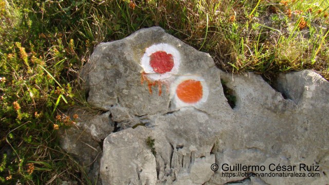 Señalización por marcas de pintura ruta ascensión Ojos de Llanegro y cima del Solpico
