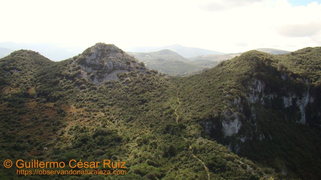 Vista atrás, primer collado de Cobañera superado desde inicio de la senda en el Alto de Candina y Hoya Cobañera abajo