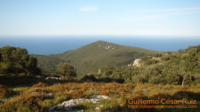Vista de La Atalaya, Monte Buciero, Santoña
