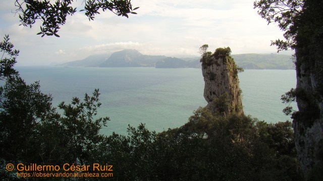 Vista hacia Monte Candina, Ensenada de la Yesera, La Peña en el descenso al Faro del Caballo, Monte Buciero, Santoña