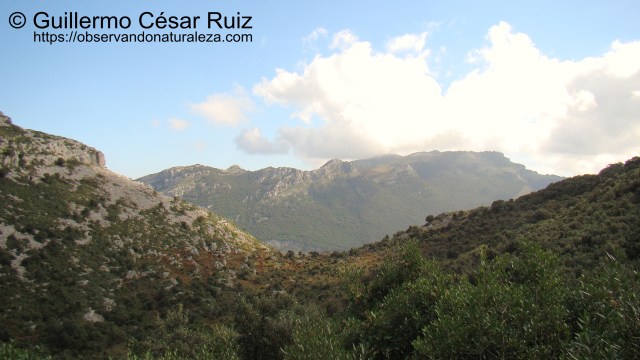Vista atrás a la Sierra de Hoz y Alto de Cerredo, sendas Monte Candina