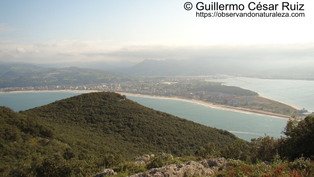 Vistas a Laredo, camino de las culminaciones del Buciero