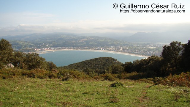 Vistas a Laredo desde culminaciones al Monte Buciero, Santoña
