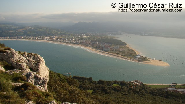 Vistas a Laredo desde la cumbre del Buciero, Santoña
