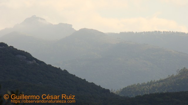 Vistas al Alto de Guriezo al atardecer desde el collado de Cobañera
