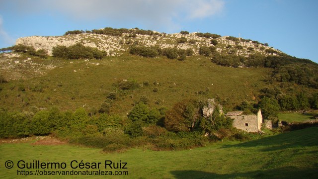 Vistas atrás hacia las culminaciones del Buciero, Santoña