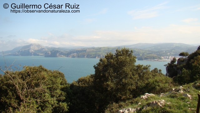 Vistas hacia Laredo, Ensenadas del Erillo y la Yesera, Monte Candina desde el Camino del Acantilado, Monte Buciero, Santoña