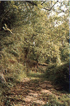 Xerra Peña Collada (camin y cabaña en Gromaloteya)